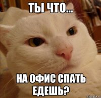 Ты что... на офис спать едешь?
