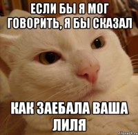 Если бы я мог говорить, я бы сказал как заебала ваша лиля