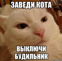 заведи кота выключи будильник