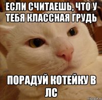 Если считаешь, что у тебя классная грудь порадуй котейку в лс