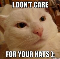 I don't care for your hats ):
