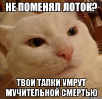 Не поменял лоток? Твои тапки умрут мучительной смертью