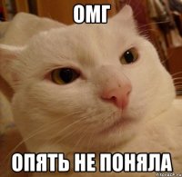 омг опять не поняла