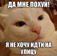 да мне похуй! я не хочу идти на улицу