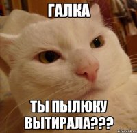 Галка ты пылюку вытирала???