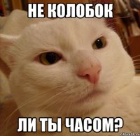 не колобок ли ты часом?