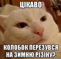 цікаво колобок перезувся на зимню різіну?
