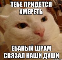 тебе придется умереть ебаный шрам связал наши души