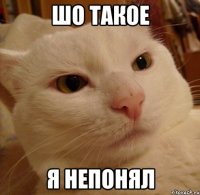 шо такое я непонял