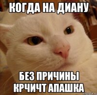 Когда на Диану без причины крчичт апашка