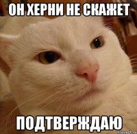 Он херни не скажет подтверждаю