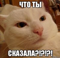 что ты сказала?!?!?!