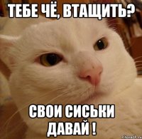 Тебе чё, втащить? Свои сиськи давай !