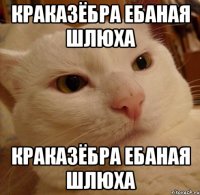 краказёбра ебаная шлюха краказёбра ебаная шлюха