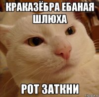 краказёбра ебаная шлюха рот заткни