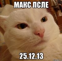 макс псле 25.12.13