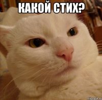 Какой стих? 