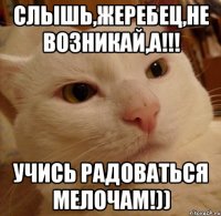 СЛЫШЬ,ЖЕРЕБЕЦ,НЕ ВОЗНИКАЙ,А!!! УЧИСЬ РАДОВАТЬСЯ МЕЛОЧАМ!))