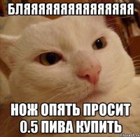 бляяяяяяяяяяяяяяя нож опять просит 0.5 пива купить