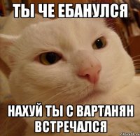 Ты че ебанулся нахуй ты с вартанян встречался