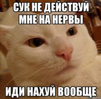 Сук не действуй мне на нервы Иди нахуй вообще