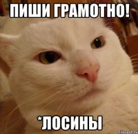Пиши грамотно! *лосины