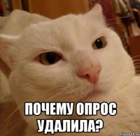 Почему опрос удалила?