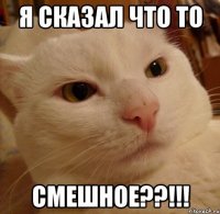 Я сказал что то смешное??!!!