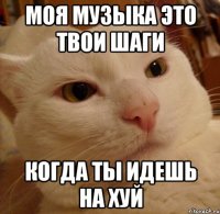 моя музыка это твои шаги когда ты идешь на хуй
