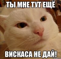 Ты мне тут ещё Вискаса не дай!
