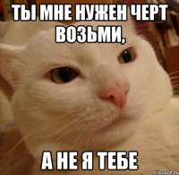 ты мне нужен черт возьми, а не я тебе