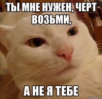 ты мне нужен, черт возьми, а не я тебе