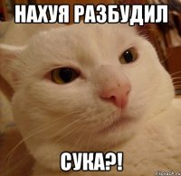нахуя разбудил сука?!