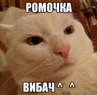 Ромочка вибач ^_^