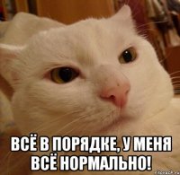  Всё в порядке, у меня всё нормально!