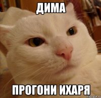 ДИМА ПРОГОНИ ИХАРЯ