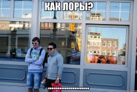 как ЛОРы? ......................