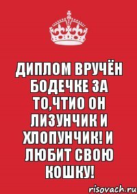 Диплом вручён Бодечке за то,чтио он лизунчик и хлопунчик! И любит свою кошку!