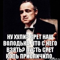 Ну хули? Срет наш Володька. Что с него взять? Пусть срет коль приспичило..