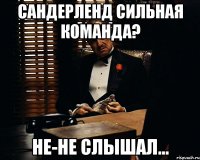 Сандерленд сильная команда? Не-не слышал...