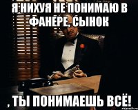 я нихуя не понимаю в фанере, сынок , ты понимаешь всё!