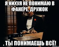 я нихуя не понимаю в фанере, дружок , ты понимаешь всё!