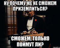 ну почему же не сможем приземлиться? сможем, только поймут ли?