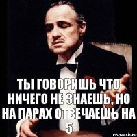 Ты говоришь что ничего не знаешь, но на парах отвечаешь на 5