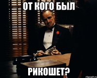 ОТ КОГО БЫЛ РИКОШЕТ?