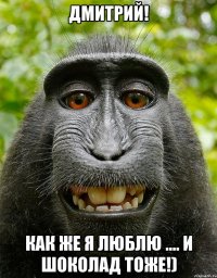 Дмитрий! Как же я люблю .... и шоколад тоже!)