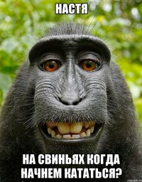 НАСТЯ НА СВИНЬЯХ КОГДА НАЧНЕМ КАТАТЬСЯ?