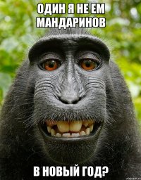 один я не ем мандаринов в новый год?