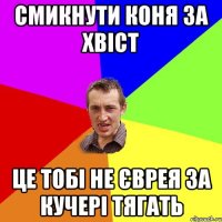 Смикнути коня за хвіст Це тобі не єврея за кучері тягать