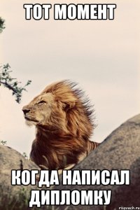 тот момент когда написал дипломку